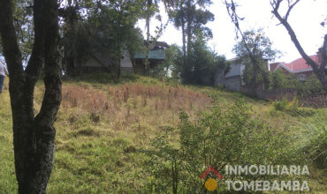 TERRENO PARA CONSTRUCTORES, 7 PISOS